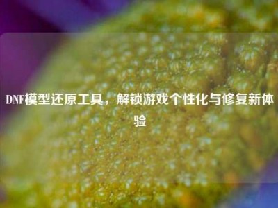 DNF模型还原工具，解锁游戏个性化与修复新体验