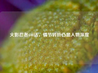 火影忍者648话，情节转折凸显人物深度
