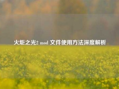 火炬之光2 mod 文件使用方法深度解析