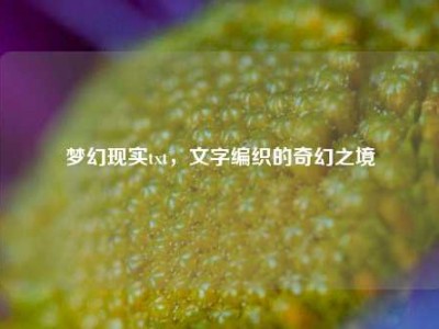 梦幻现实txt,文字编织的奇幻之境