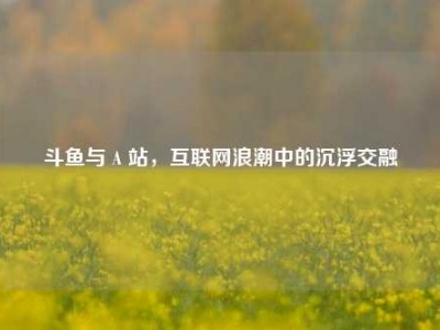斗鱼与 A 站，互联网浪潮中的沉浮交融