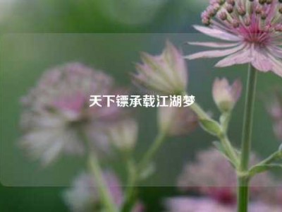 天下镖承载江湖梦
