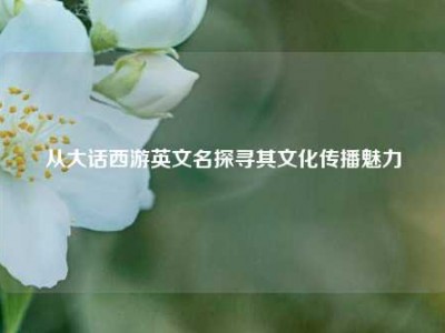 从大话西游英文名探寻其文化传播魅力