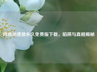 网络加速器永久免费版下载,陷阱与真相揭秘