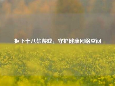 拒下十八禁游戏,守护健康网络空间