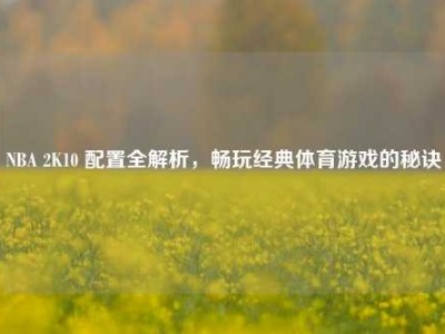 NBA 2K10 配置全解析，畅玩经典体育游戏的秘诀