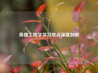 侏儒工程学学习地点深度剖析