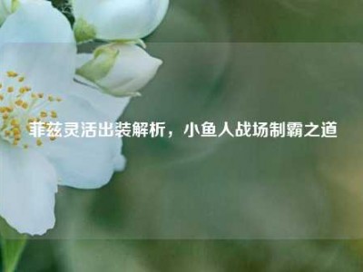 菲兹灵活出装解析,小鱼人战场制霸之道