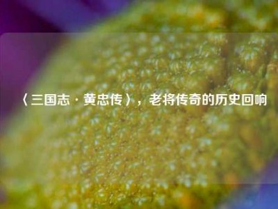 〈三国志·黄忠传〉，老将传奇的历史回响