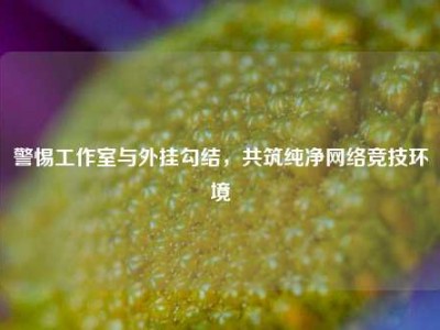 警惕工作室与外挂勾结，共筑纯净网络竞技环境