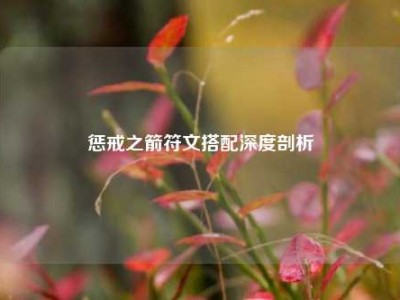 惩戒之箭符文搭配深度剖析