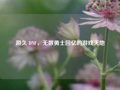 游久 DNF，无数勇士回忆的游戏天地