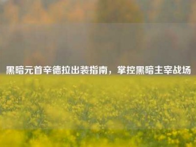 黑暗元首辛德拉出装指南,掌控黑暗主宰战场