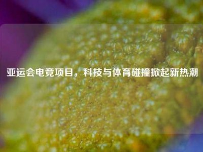 亚运会电竞项目,科技与体育碰撞掀起新热潮
