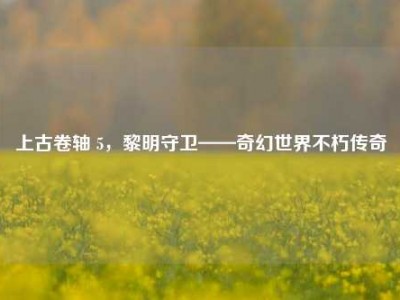 上古卷轴 5,黎明守卫——奇幻世界不朽传奇