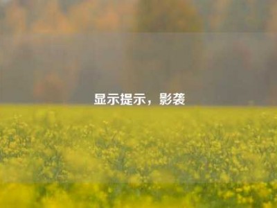 显示提示，影袭