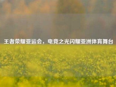 王者荣耀亚运会，电竞之光闪耀亚洲体育舞台