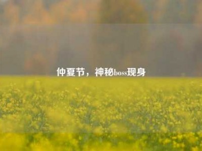 仲夏节,神秘boss现身