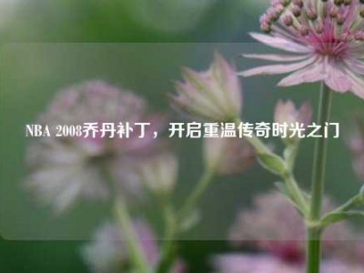 NBA 2008乔丹补丁,开启重温传奇时光之门