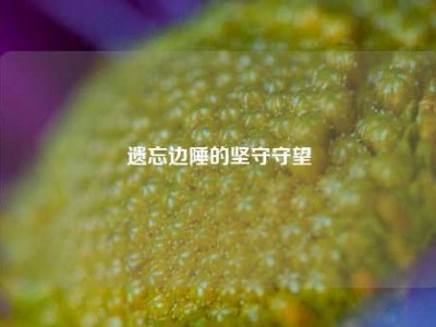 遗忘边陲的坚守守望