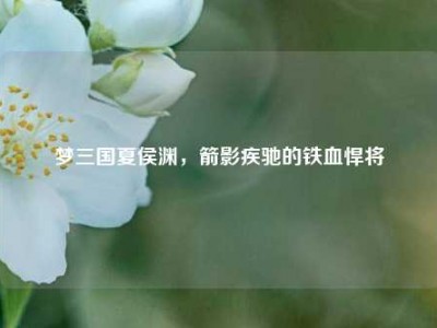 梦三国夏侯渊,箭影疾驰的铁血悍将