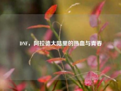 DNF，阿拉德大陆里的热血与青春