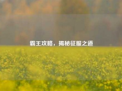 霸王攻略，揭秘征服之道