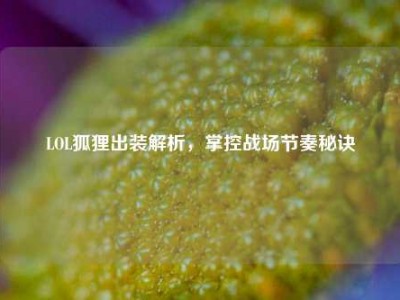 LOL狐狸出装解析,掌控战场节奏秘诀