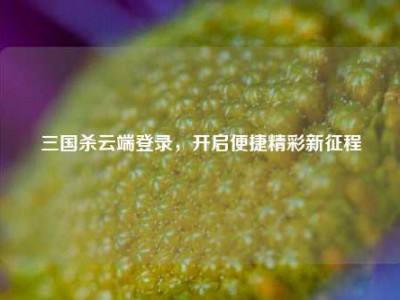 三国杀云端登录，开启便捷精彩新征程