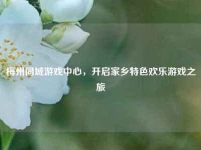 梅州同城游戏中心，开启家乡特色欢乐游戏之旅