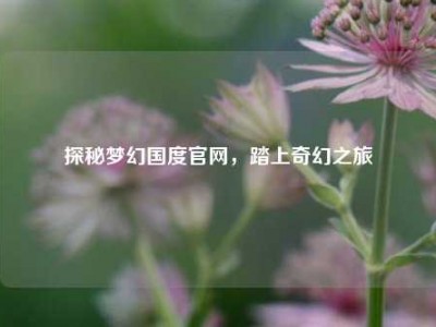 探秘梦幻国度官网，踏上奇幻之旅