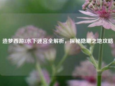 造梦西游3水下迷宫全解析,探秘隐藏之地攻略
