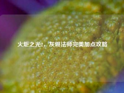 火炬之光2,灰烬法师完美加点攻略