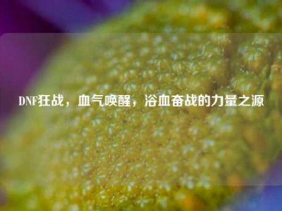 DNF狂战,血气唤醒,浴血奋战的力量之源