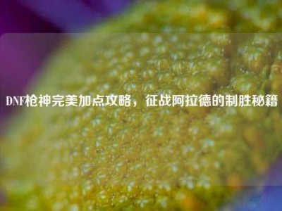 DNF枪神完美加点攻略，征战阿拉德的制胜秘籍