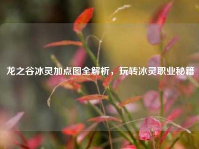 龙之谷冰灵加点图全解析，玩转冰灵职业秘籍