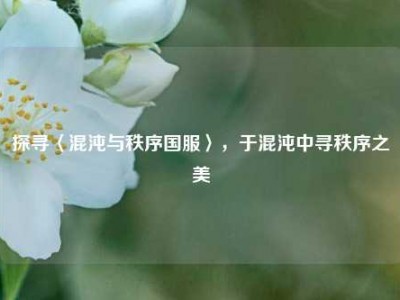 探寻〈混沌与秩序国服〉，于混沌中寻秩序之美