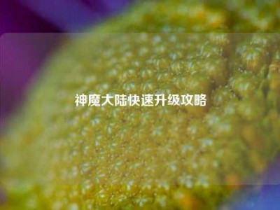 神魔大陆快速升级攻略