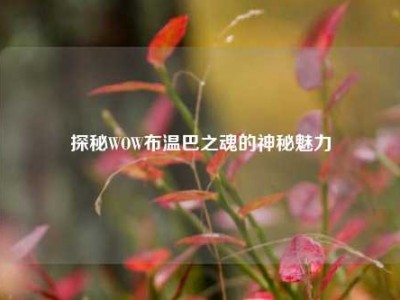 探秘WOW布温巴之魂的神秘魅力