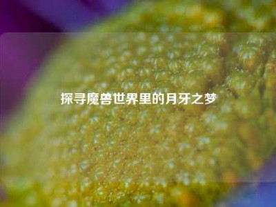 探寻魔兽世界里的月牙之梦