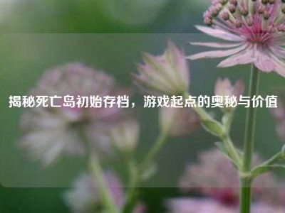 揭秘死亡岛初始存档，游戏起点的奥秘与价值