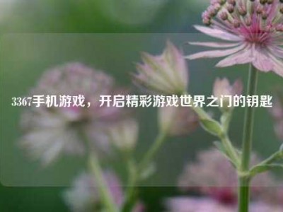 3367手机游戏，开启精彩游戏世界之门的钥匙