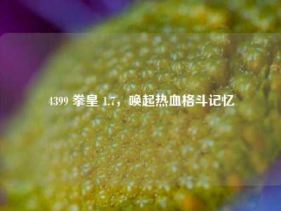 4399 拳皇 1.7，唤起热血格斗记忆