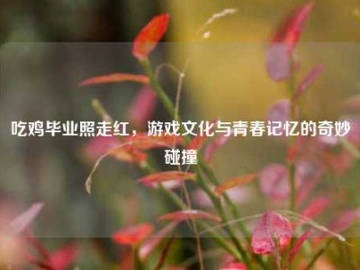 吃鸡毕业照走红,游戏文化与青春记忆的奇妙碰撞