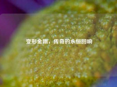 变形金刚,传奇的永恒回响