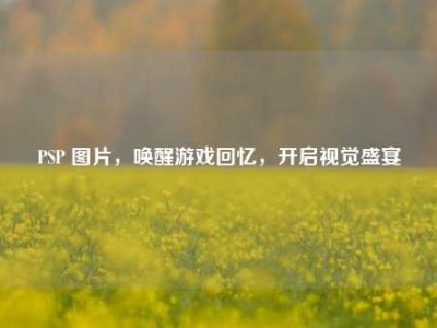PSP 图片，唤醒游戏回忆，开启视觉盛宴
