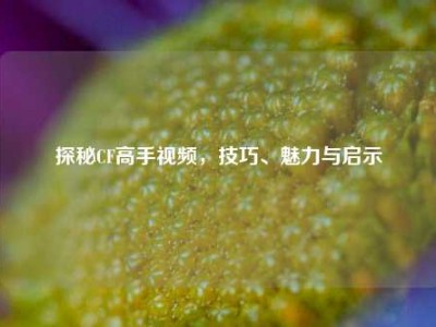 探秘CF高手视频，技巧、魅力与启示