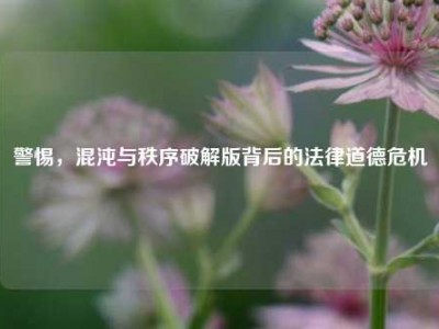 警惕，混沌与秩序破解版背后的法律道德危机