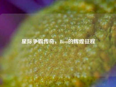 星际争霸传奇，Bisu的辉煌征程
