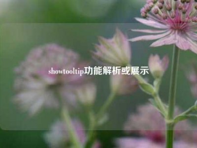 showtooltip功能解析或展示